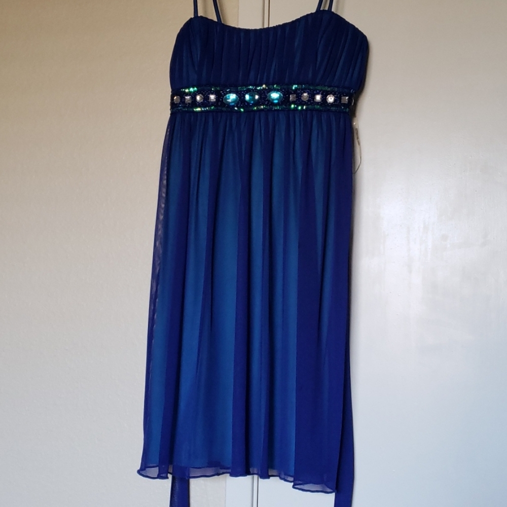 Blue Jeweled Dress